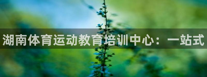 谈球吧