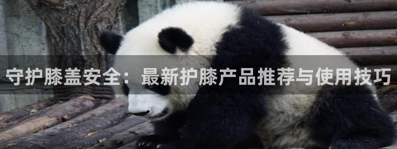 谈球吧