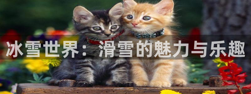 谈球吧：冰雪世界：滑雪的魅力与乐趣