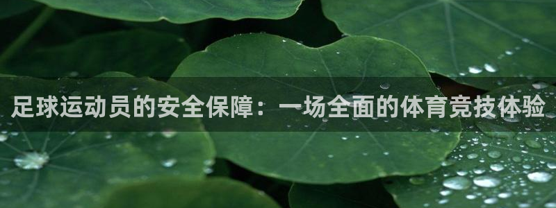 谈球吧体育：足球运动员的安全保障：一场全面的体育竞技体验