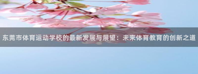 谈球吧体育官网：东莞市体育运动学校的最新发展与展望：未来体育教育的创新之道