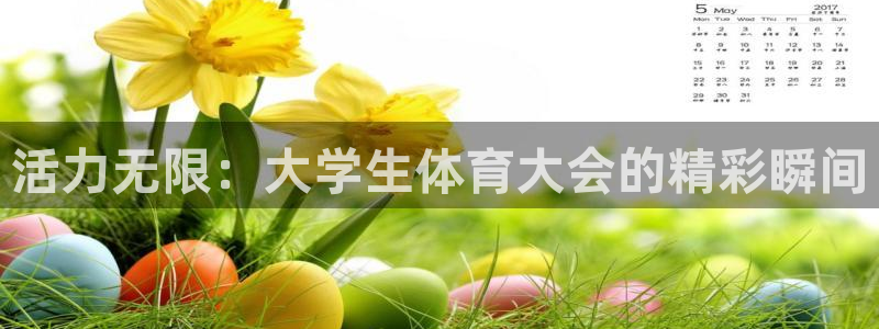 谈球吧：活力无限：大学生体育大会的精彩瞬间