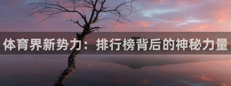 谈球吧体育官网：体育界新势力：排行榜背后的神秘力量