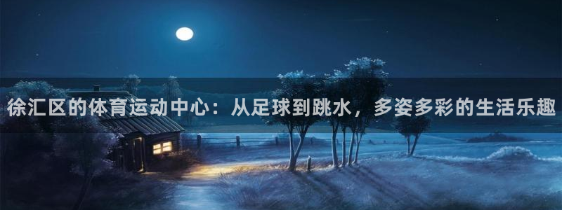 谈球吧体育：徐汇区的体育运动中心：从足球到跳水，多姿多彩的生活乐趣
