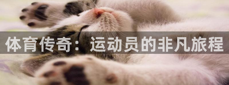 谈球吧体育：体育传奇：运动员的非凡旅程