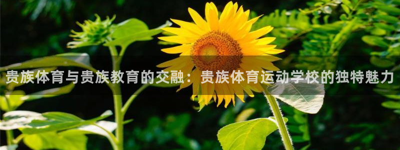 谈球吧：贵族体育与贵族教育的交融：贵族体育运动学校的独特魅力