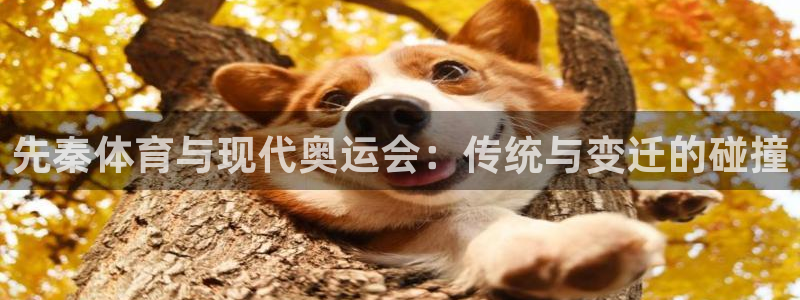谈球吧体育官网：先秦体育与现代奥运会：传统与变迁的碰撞