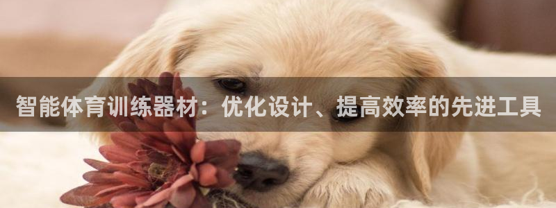 谈球吧体育官网：智能体育训练器材：优化设计、提高效率的先进工具