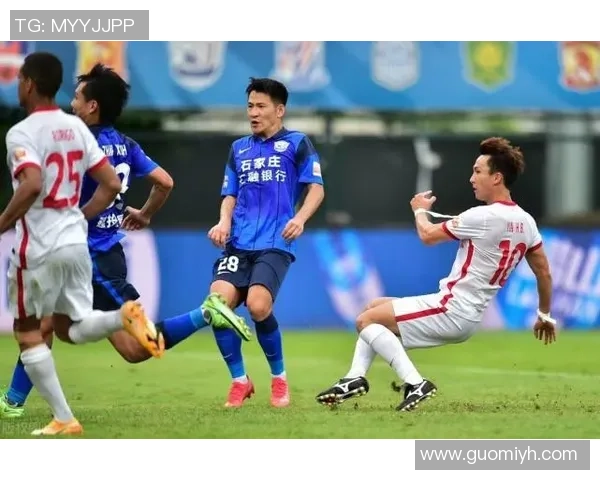 广州排球队团队协作引发热议球迷对战术配合与球员默契产生分歧